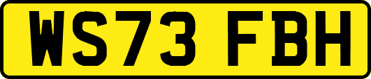 WS73FBH