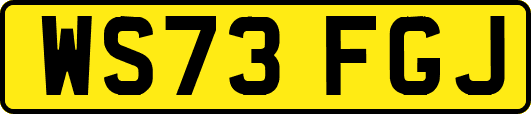 WS73FGJ