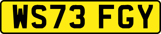 WS73FGY