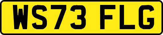 WS73FLG
