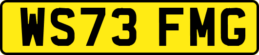 WS73FMG