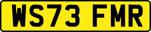 WS73FMR