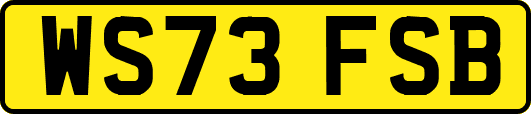 WS73FSB