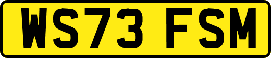 WS73FSM
