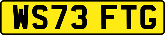 WS73FTG