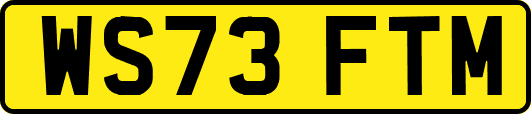 WS73FTM