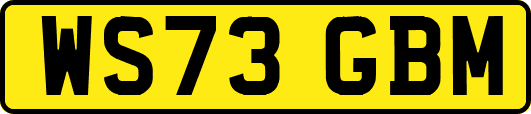 WS73GBM