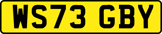 WS73GBY