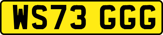 WS73GGG