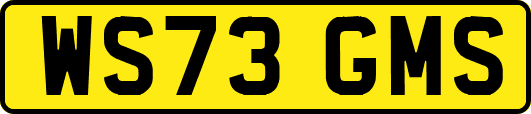WS73GMS