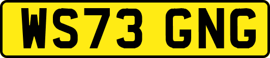 WS73GNG
