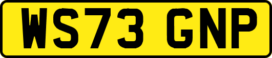 WS73GNP