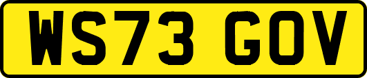 WS73GOV
