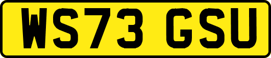 WS73GSU