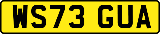 WS73GUA