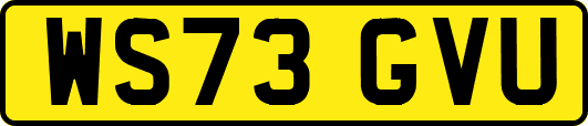 WS73GVU