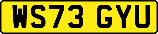WS73GYU