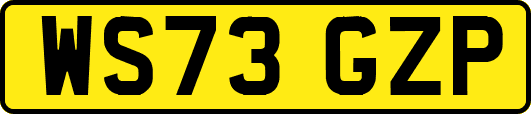 WS73GZP