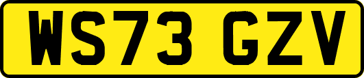 WS73GZV