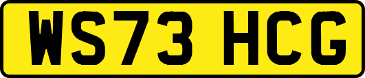 WS73HCG