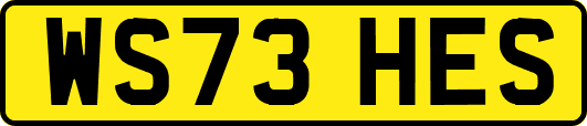 WS73HES