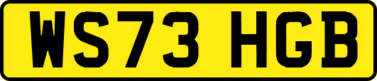 WS73HGB