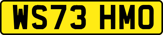 WS73HMO