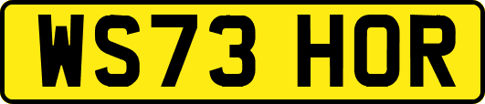 WS73HOR
