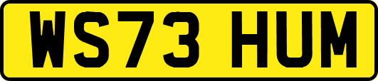 WS73HUM