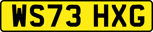 WS73HXG