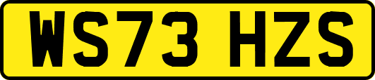 WS73HZS