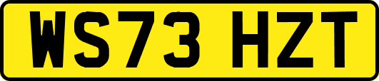 WS73HZT