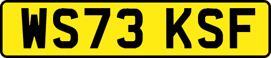 WS73KSF