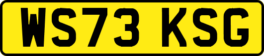 WS73KSG