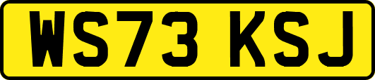 WS73KSJ