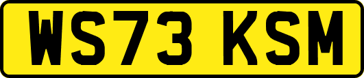 WS73KSM