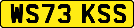 WS73KSS