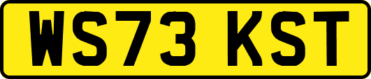 WS73KST