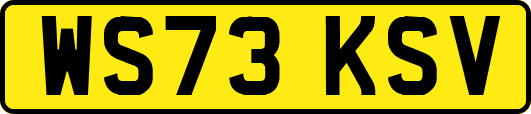 WS73KSV
