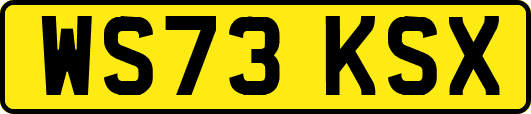 WS73KSX