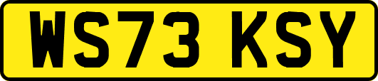WS73KSY