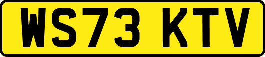 WS73KTV