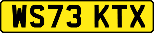 WS73KTX