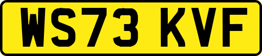 WS73KVF