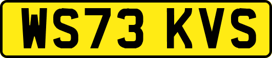 WS73KVS