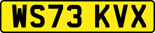 WS73KVX