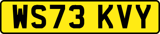 WS73KVY