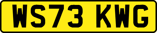 WS73KWG