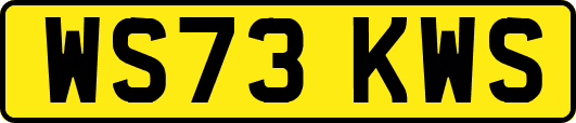 WS73KWS