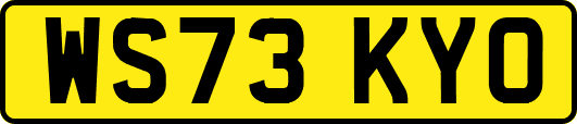 WS73KYO